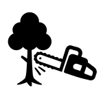 chainsaw cutting down a tree